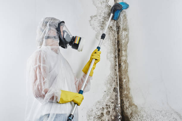 Water Damage Restoration in South Miami, FL