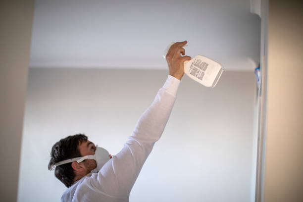 Best Mold Testing  in South Miami, FL